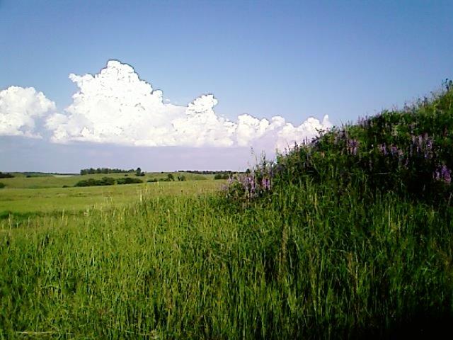 Озеро з panoramio.com - Озеро