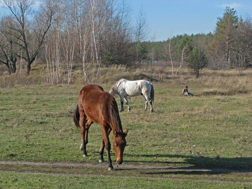Забаряни з panoramio.com - Забаряни