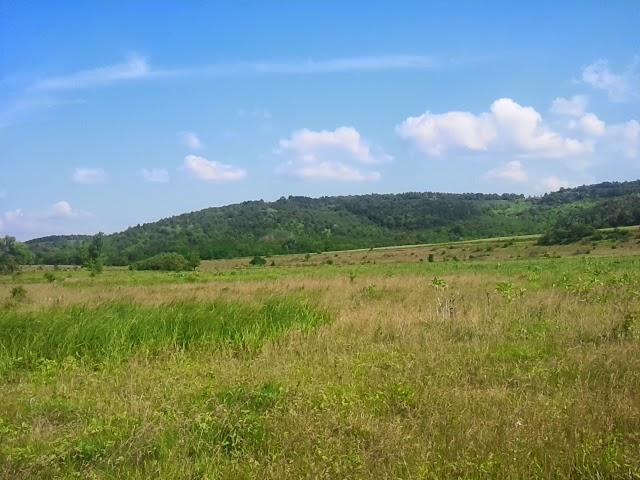 Новоукраїнка з panoramio.com - Новоукраїнка