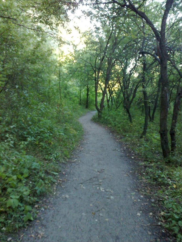 Богородичне з panoramio.com - Богородичне