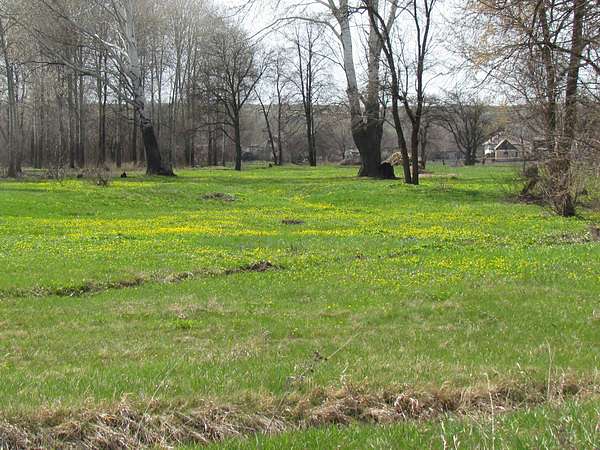 Фото Білолуцька - Белолуцк