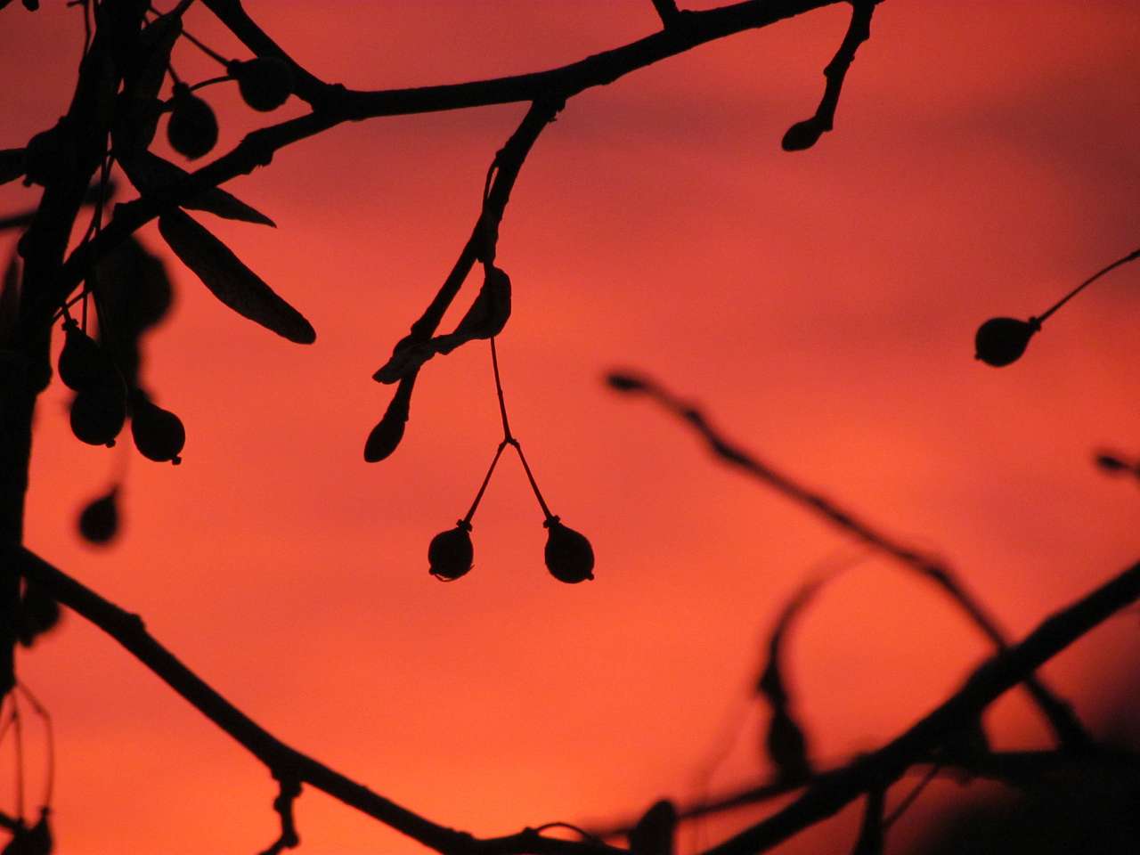 картинки - Нижній Булатець