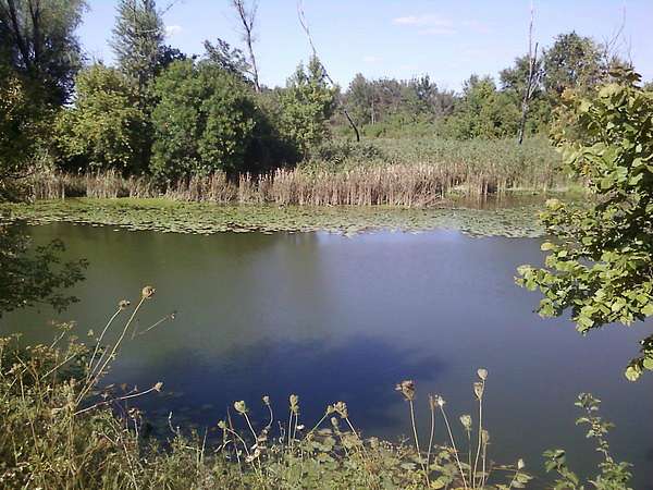 Фото Білолуцька - Белолуцк