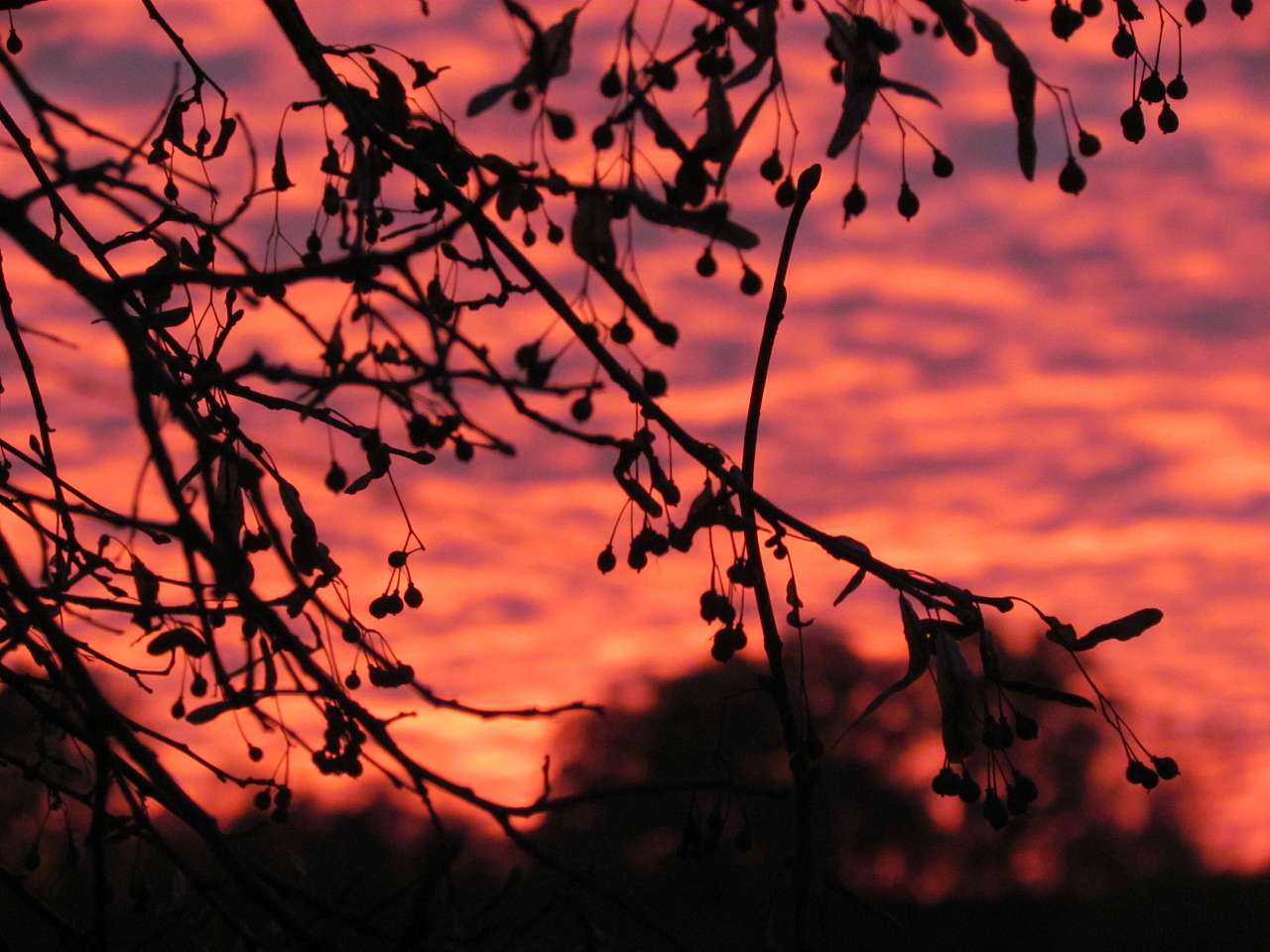 картинки - Нижній Булатець