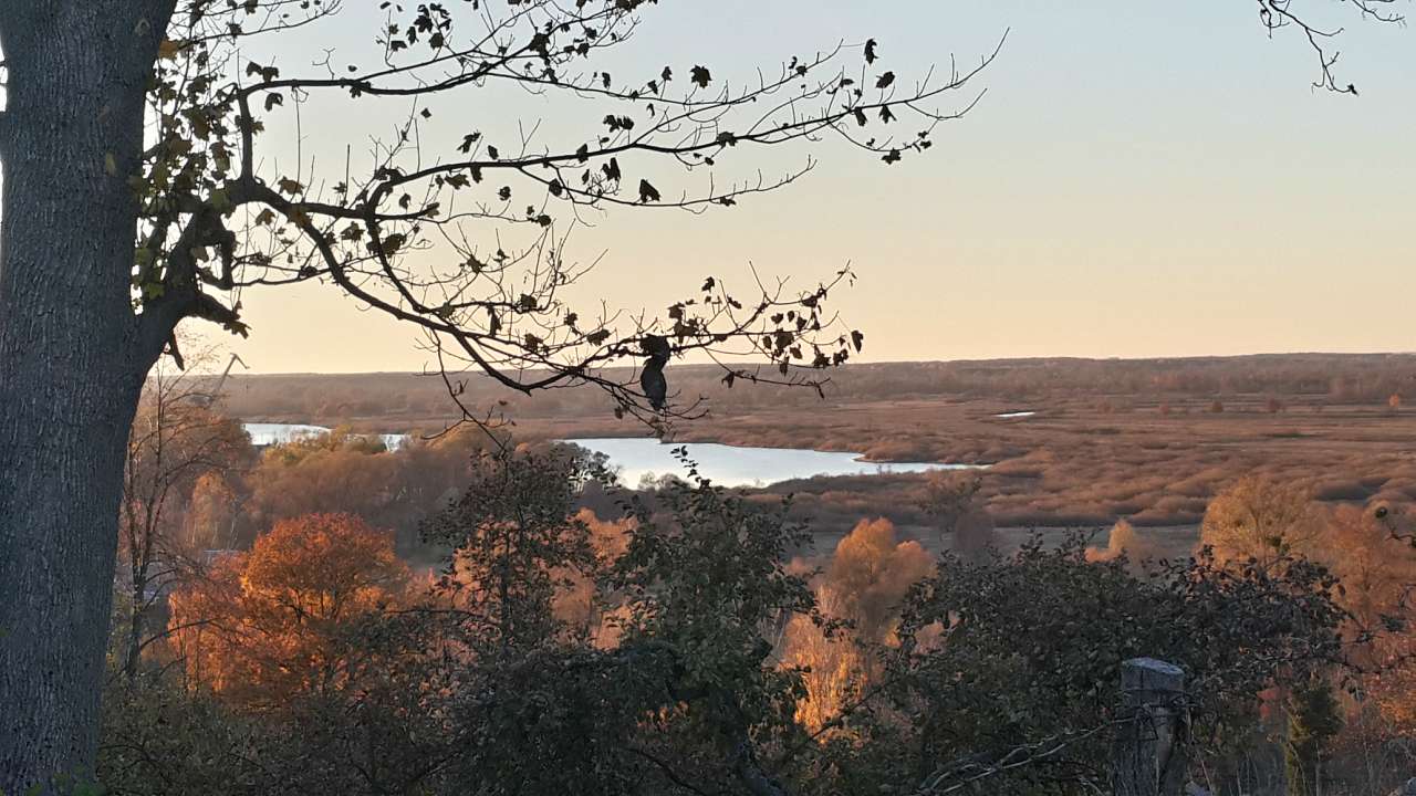 Любеч з panoramio.com - Любеч