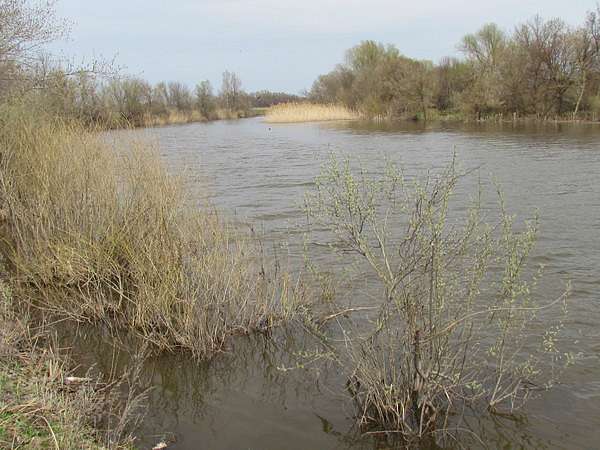 Фото Білолуцька - Белолуцк