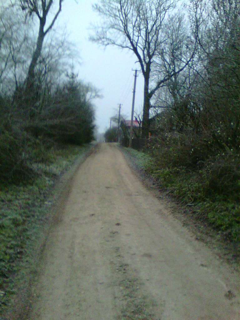 Тулиголови - Тулиголове