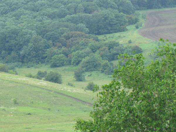 Фото Білолуцька - Белолуцк