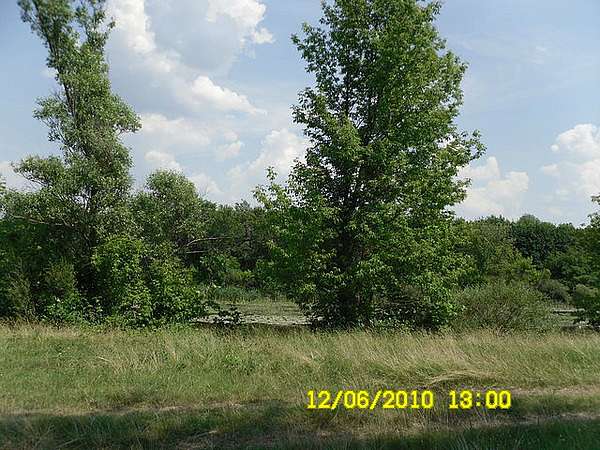 Фото Білолуцька - Білолуцьк