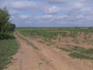 Новотимофіївка з panoramio.com