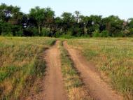 Бурячки - Останні фото