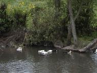 Гологори з panoramio.com