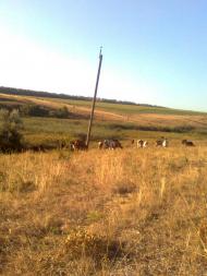 Старовірівка з panoramio.com