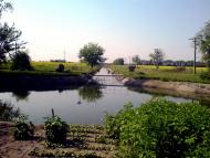 Заплавка - Останні фото