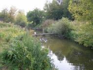 Лузанівка з panoramio.com