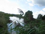 Демидів з panoramio.com