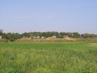 Лузанівка з panoramio.com