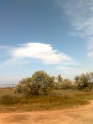 Молочне з panoramio.com