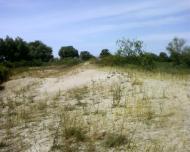 Чехівка з panoramio.com