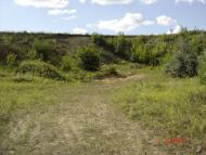 Борщі з panoramio.com