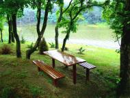 Вишневе з panoramio.com