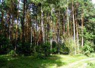 Городок з panoramio.com