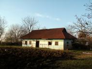 Крикливець з panoramio.com