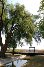 Ромашкине з panoramio.com