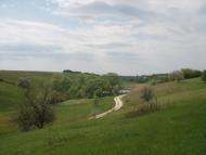 Великополовецьке з panoramio.com