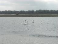 Матроська з panoramio.com