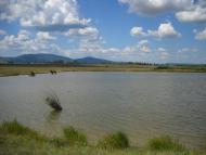 Матросовка - Последние фото