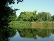 Гірницьке з panoramio.com