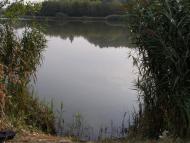 Лузанівка з panoramio.com