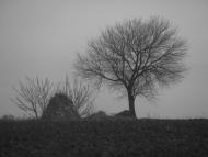 Субіч з panoramio.com