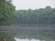 Діброва з panoramio.com