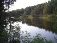 Стовп'яги з panoramio.com