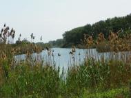 Чапаєвка - Останні фото