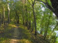 Слов'яносербськ з panoramio.com