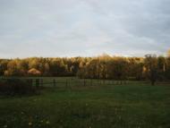 Гута-Ткачова з panoramio.com