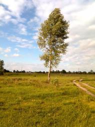 Селище з panoramio.com