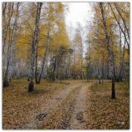 Пологи-Низ з panoramio.com