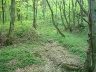 Нова Гута з panoramio.com