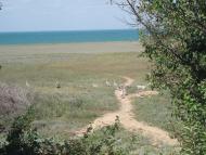 Аврора - Останні фото