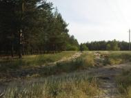 Дмитрівка з panoramio.com