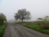 Обухів з panoramio.com