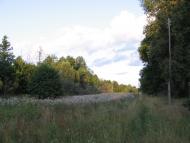 Ракужа з panoramio.com