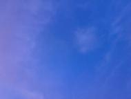 Меленці з panoramio.com