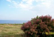 Лебедівка з panoramio.com