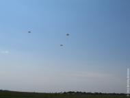 Федорівка з panoramio.com