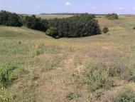 Борщі з panoramio.com